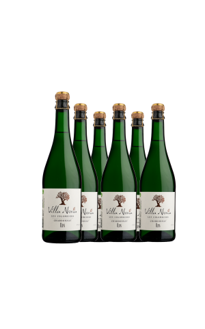 6-Flaschen-Karton - Villa Noria Chardonnay 0.0%