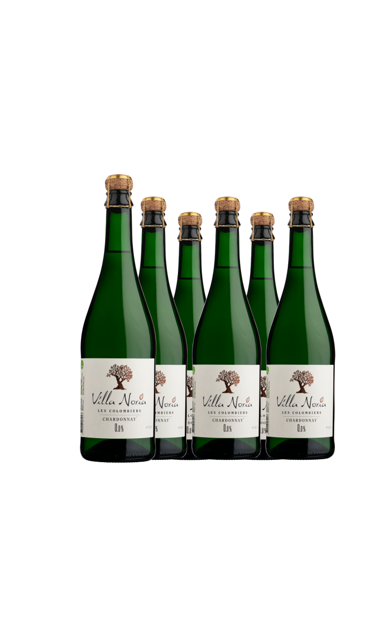 Cartone da 6 bottiglie - Villa Noria Chardonnay 0,0%