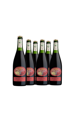 Cardboard of 6 bottles - Les Infusions Villa Noria -Fet'Nat 'Lightweight Red (without sulfite)