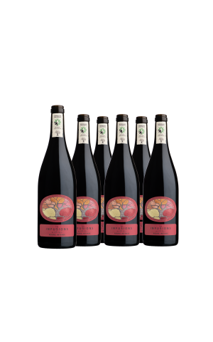 Cardboard of 6 bottles - Les Infusions Villa Noria - Lightweight Red (without sulfites)