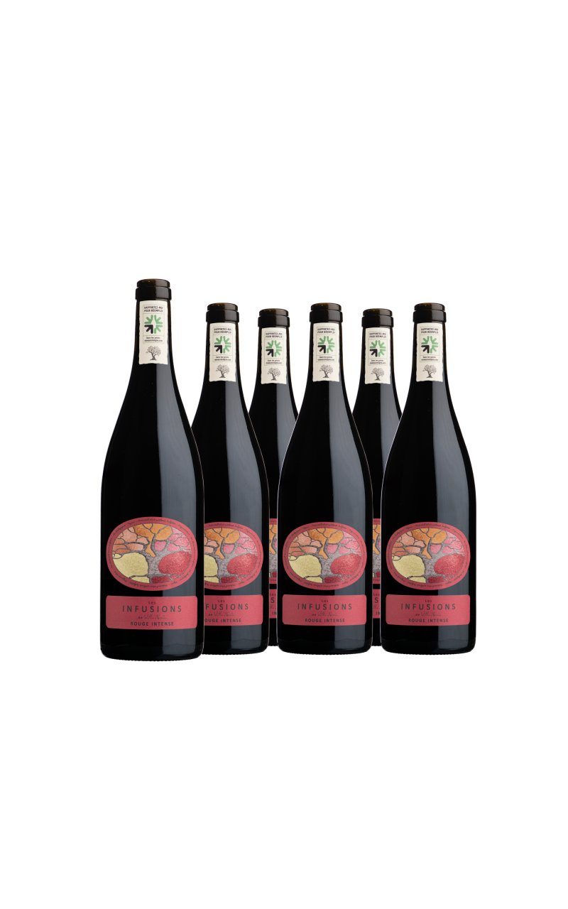 Karton von 6 Flaschen - Les Infusions Villa Noria - Leichtes Rot (ohne Sulfite) Karton von 6 Flaschen - Les Infusions Villa Noria - Leichtes Rot (ohne Sulfite)