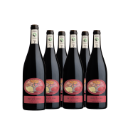 Cardboard of 6 bottles - Les Infusions Villa Noria - Lightweight Red (without sulfites)