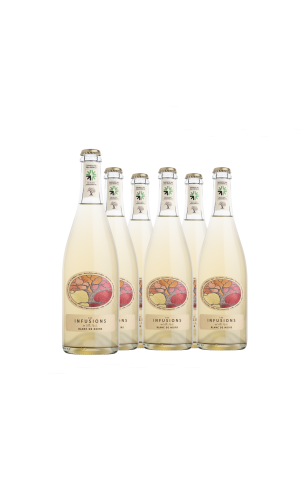Cardboard of 6 bottles - Les Infusions from Villa Noria - Pet'nat 'black of blacks (without sulphites)