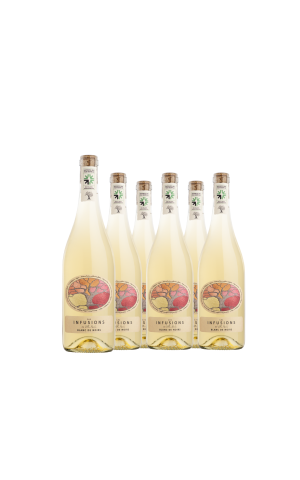 Cardboard of 6 bottles - Les Infusions Villa Noria - Black of Blacks (without sulfites)