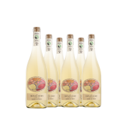 Carton de 6 Bouteilles - Les Infusions de Villa Noria - Blanc de Noirs (Sans Sulfites)
