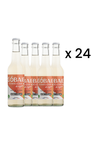 Carton Sobaie Kombucha de vigneron - White grape bay (24 x 33 cL)