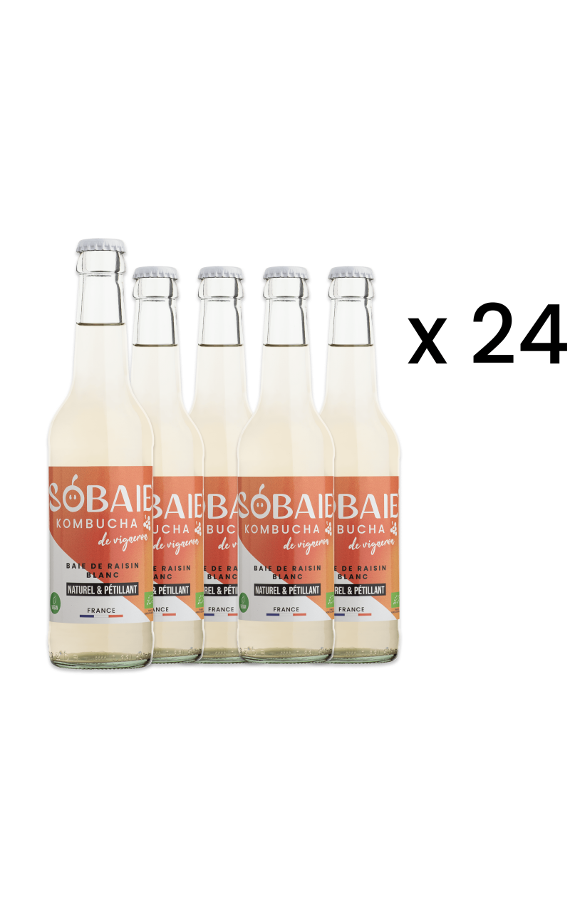 Carton Sobaie Kombucha de vigneron - White grape bay (24 x 33 cL)
