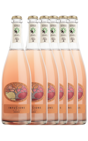 Cartón de 6 botellas - Les Infusions Villa Noria - Naranja PET 'NAT' (sin sulfitos)