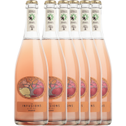 Karton von 6 Flaschen - Les Infusions Villa Noria - Orange Pet 'Nat' (ohne Sulfite)