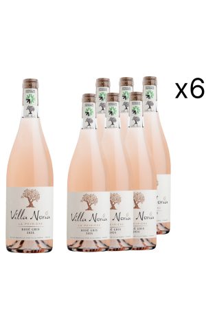 6-bottles cardboard - Large Prestige Rosé