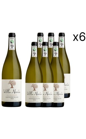 Cardboard of 6 bottles - Sauvignon Blanc
