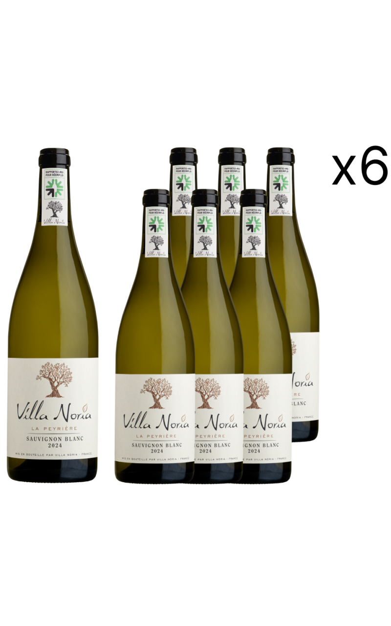 Cardboard of 6 bottles - Sauvignon Blanc Cardboard of 6 bottles - Sauvignon Blanc