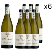 Cardboard of 6 bottles - Sauvignon Blanc