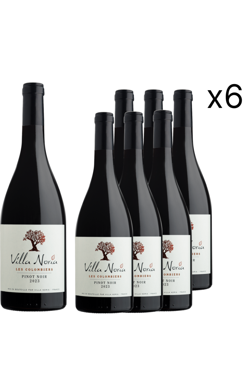 Box of 6 Bottles - Colombiers - Pinot noir Box of 6 Bottles - Colombiers - Pinot noir