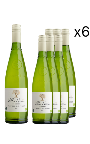 Carton of 6 bottles The Greenhouse - Picpoul de Pinat
