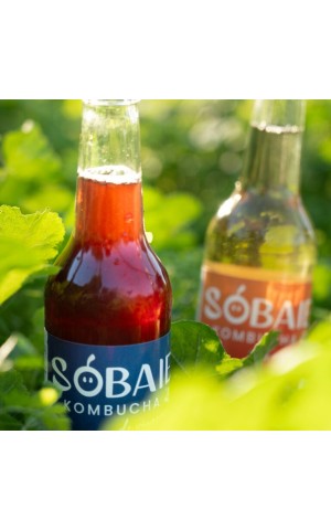 Sobaie Kombucha of Vigneron - Red Grape Bay