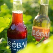 Sobaie Kombucha of Vigneron - Red Grape Bay