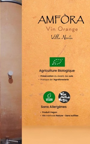 Amfòra : Natural orange wine without filter