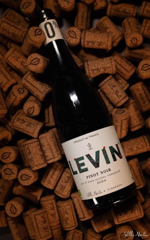 Levin 0% - Pinot black without alcohol