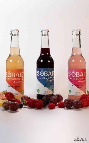 Karton - Sobaie, Kombucha de Vigneron