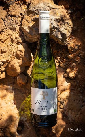 The Greenhouse - Picpoul Pinet Picpoul