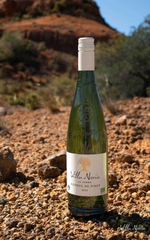 The Greenhouse - Picpoul Pinet Picpoul