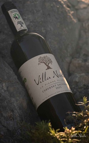 The Planted Pierre - Cabernet Sauvignon IGP Country of OC