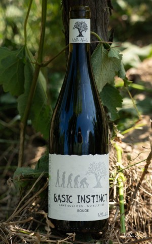 Basic Instinct - Red, Vegan & Sulfite-Free