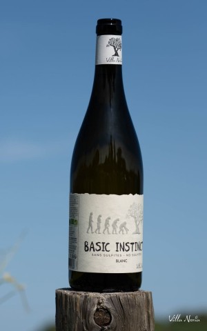 Basic Instinct - Blanc, Vegan & Sans sulfite