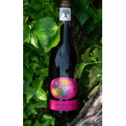 Les Infusions - Lightweight, tranquil