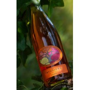 Les Infusions - Orange, tranquil