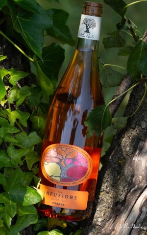Les Infusions - Orange, tranquil