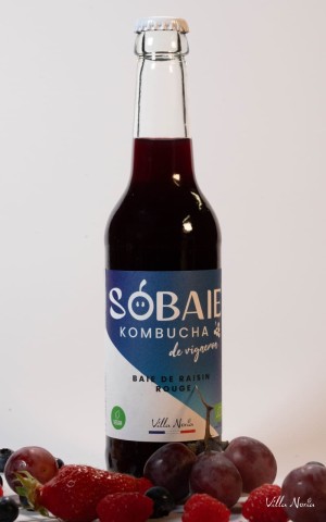 Sobaie Kombucha of Vigneron - Red Grape Bay without alcohol