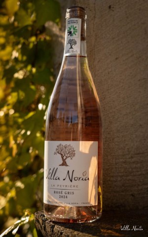 Peyrière - Rosé (IGP Country Oc)