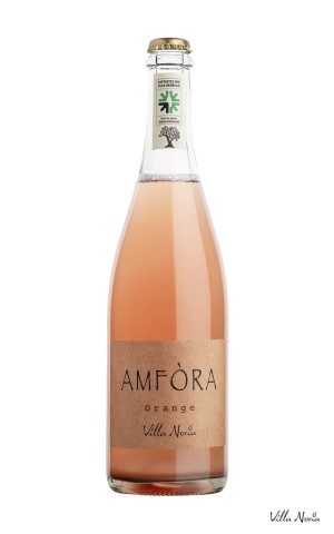 Vintage Amfòra Vino brillante Naturaleza naranja