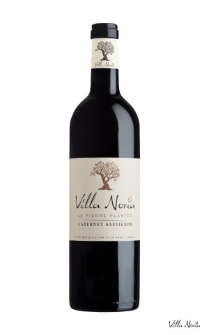 The Planted Pierre - Cabernet Sauvignon IGP Country of OC