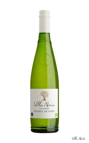 The Greenhouse - Picpoul Pinet Picpoul