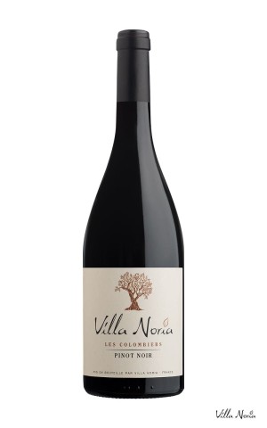 The Terroirs of Villa Noria - Colombiers Pinot Noir IGP Country of OC