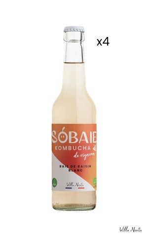 Pack of 4 Sobaie Cansette Kombucha de Vigneron, drink without alcohol