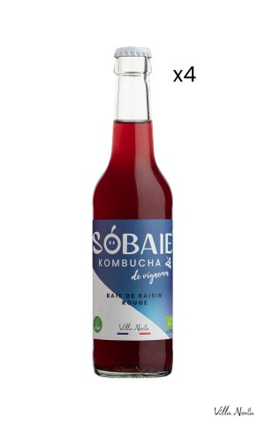Sobaie Kombucha of Vigneron - Red Grape Bay without alcohol