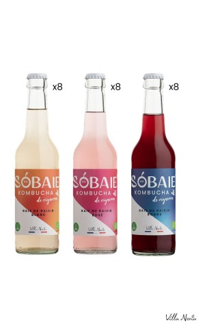 Karton - Sobaie, Kombucha de Vigneron