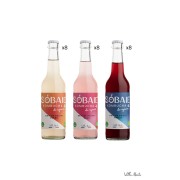 Karton - Sobaie, Kombucha de Vigneron