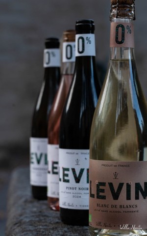 Box - Levin 0% - Fermented alcohol