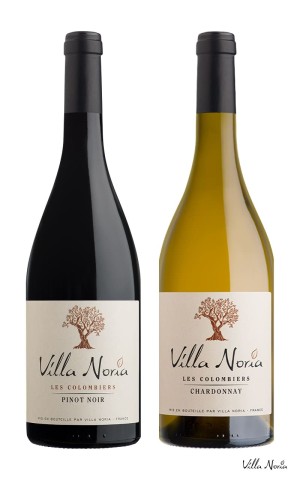 Terroir Colombiers Box - Bio and Vegan Wines