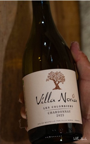 The Terroirs of Villa Noria - Colombiers Chardonnay IgP Country of OC