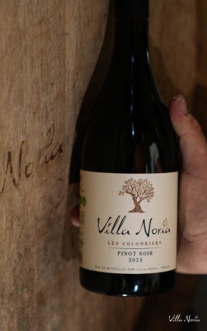 The Terroirs of Villa Noria - Colombiers Pinot Noir IGP Country of OC