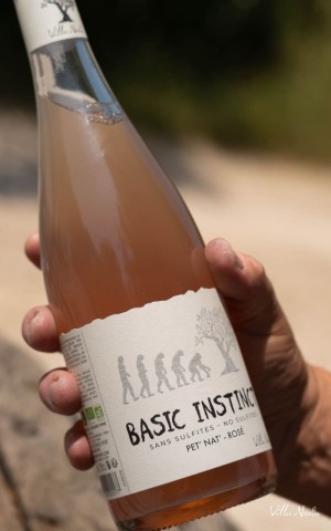 Basic Instinct - Rosé Pet'nat ', without sulfite
