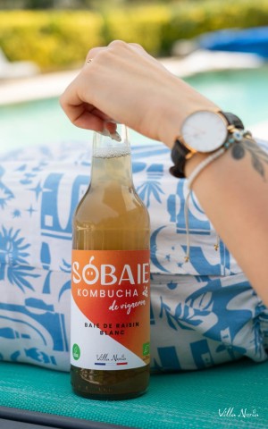 SOBAIE White - White Grape Kombucha without alcohol