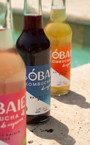 Karton - Sobaie, Kombucha de Vigneron