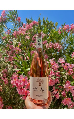 The Peyrière Rosé Gray IgP Oumber Pays - Rosé Bio and Vegan - Villa Noria